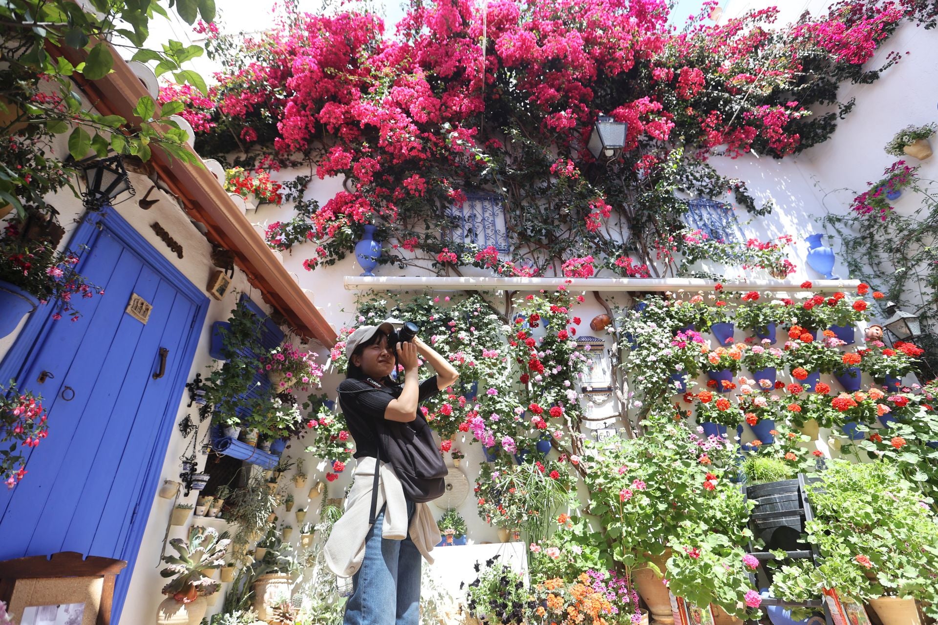 Un paseo por los patios más clásicos de Córdoba, en imágenes