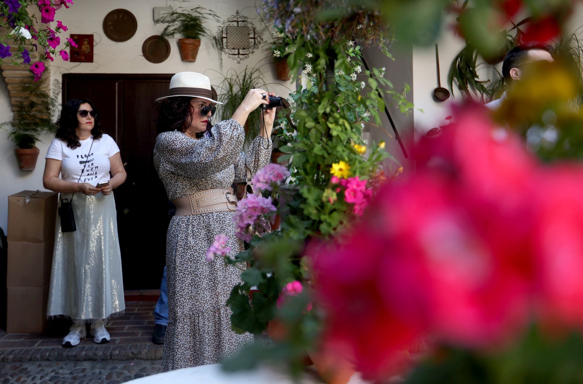 Un paseo por los patios más clásicos de Córdoba, en imágenes