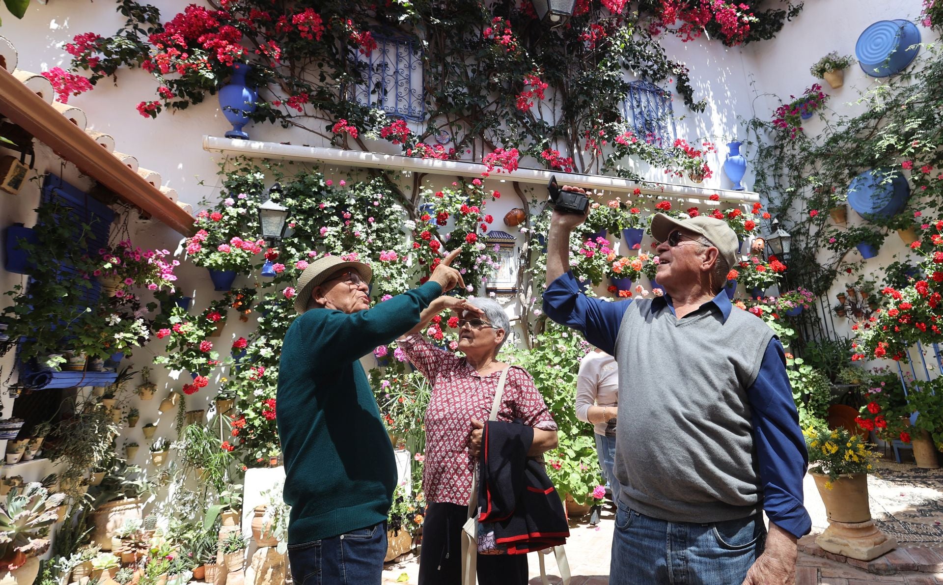 Un paseo por los patios más clásicos de Córdoba, en imágenes