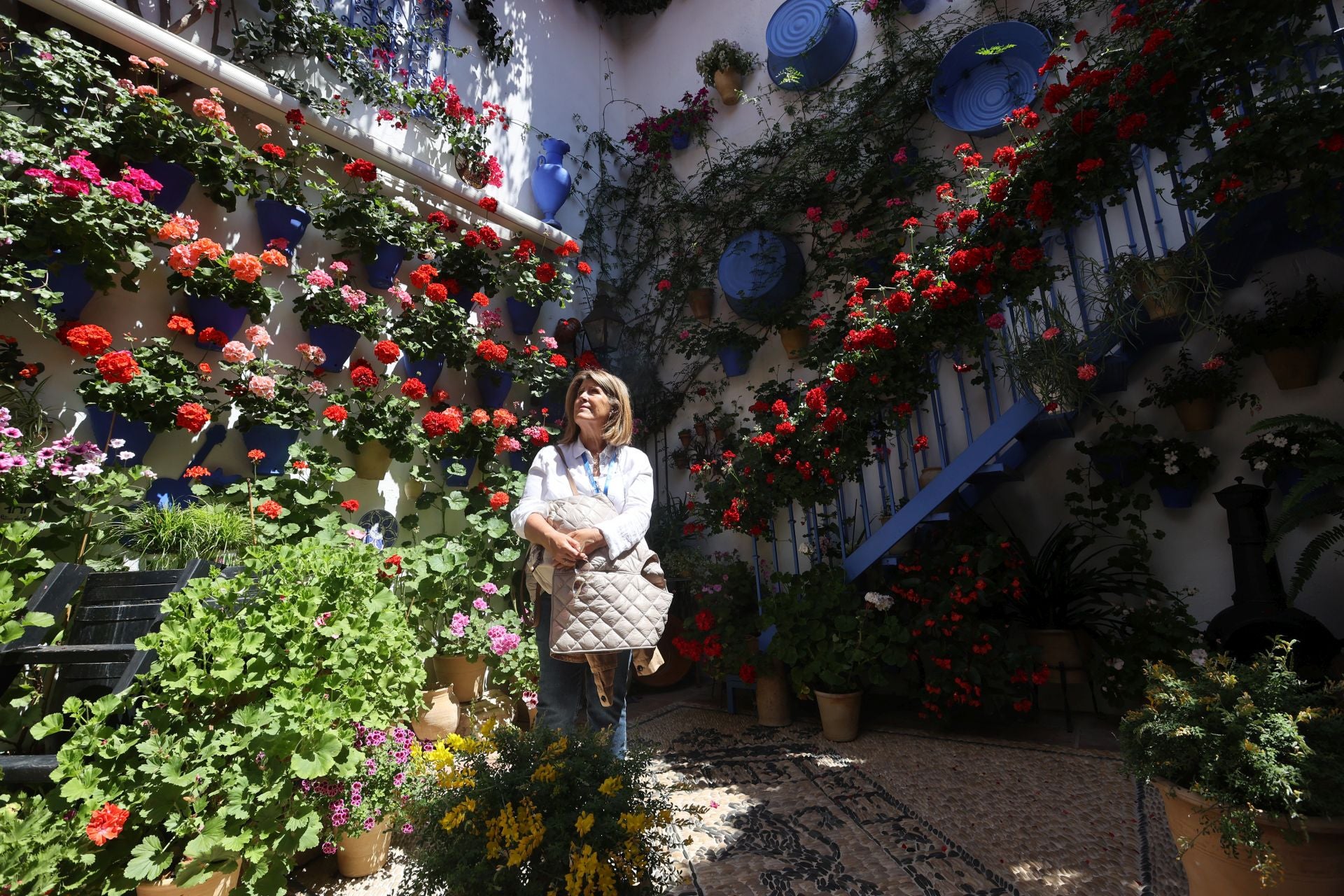 Un paseo por los patios más clásicos de Córdoba, en imágenes
