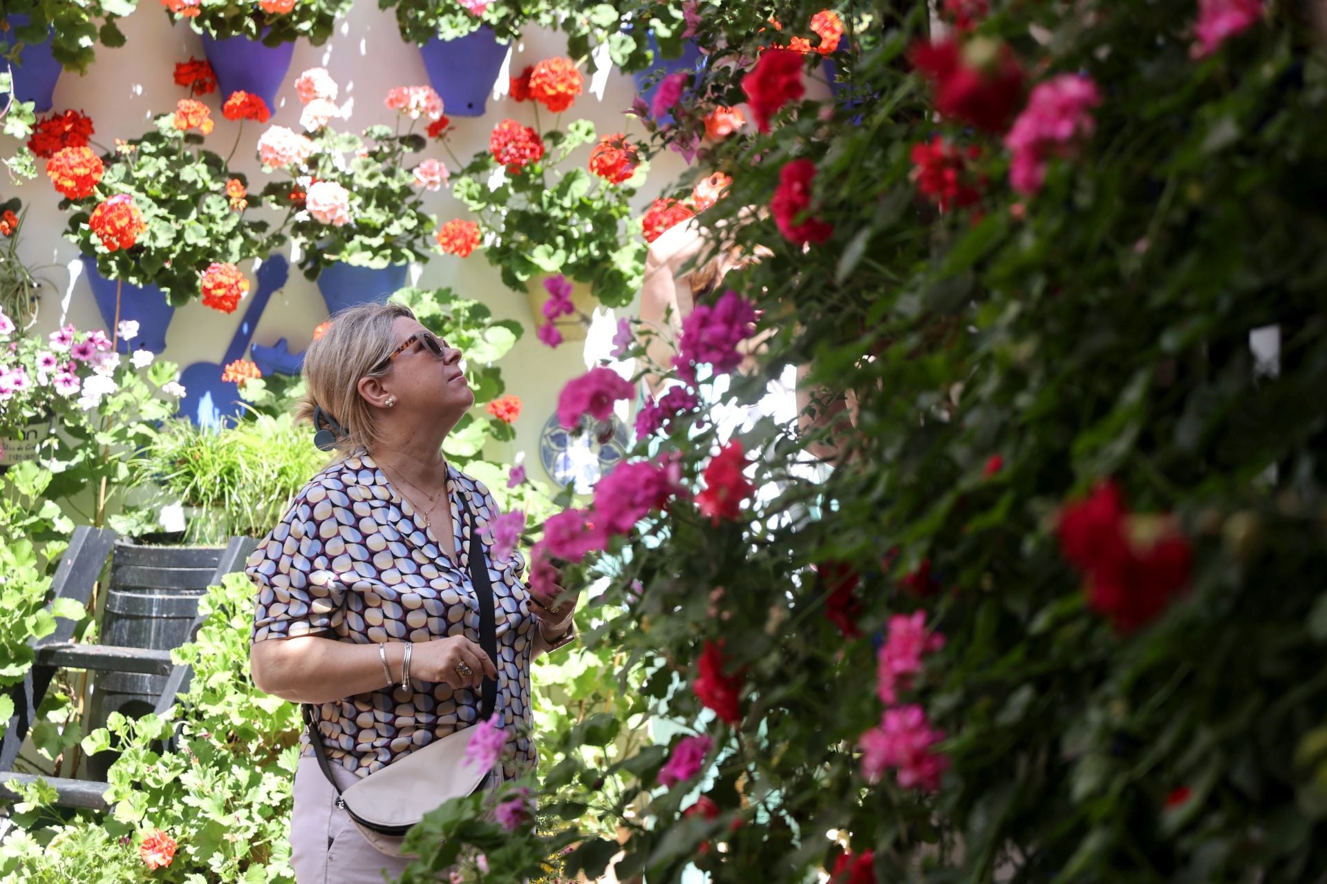 Un paseo por los patios más clásicos de Córdoba, en imágenes
