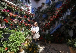 Un paseo por los patios más clásicos de Córdoba, en imágenes