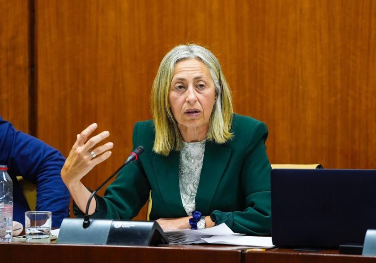 Rocío Hernández, en comisión parlamentaria este miércoles