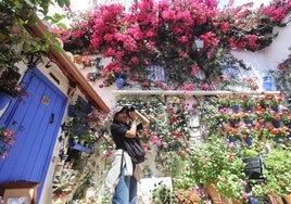 El tiempo gira para el final de los Patios de Córdoba: la Aemet confirma un cambio de temperatura