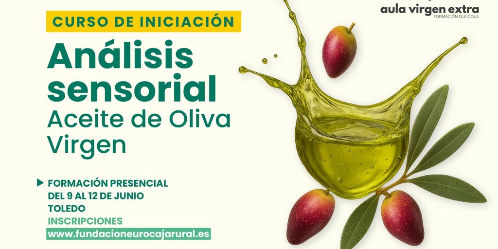 Nuevo curso en Toledo para aprender a catar aceite de oliva virgen extra con expertos del sector