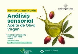Nuevo curso en Toledo para aprender a catar aceite de oliva virgen extra con expertos del sector