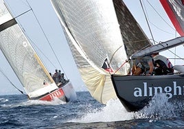 Valencia seguirá negociando para volver a ser sede de la Copa América tras renunciar por la dana