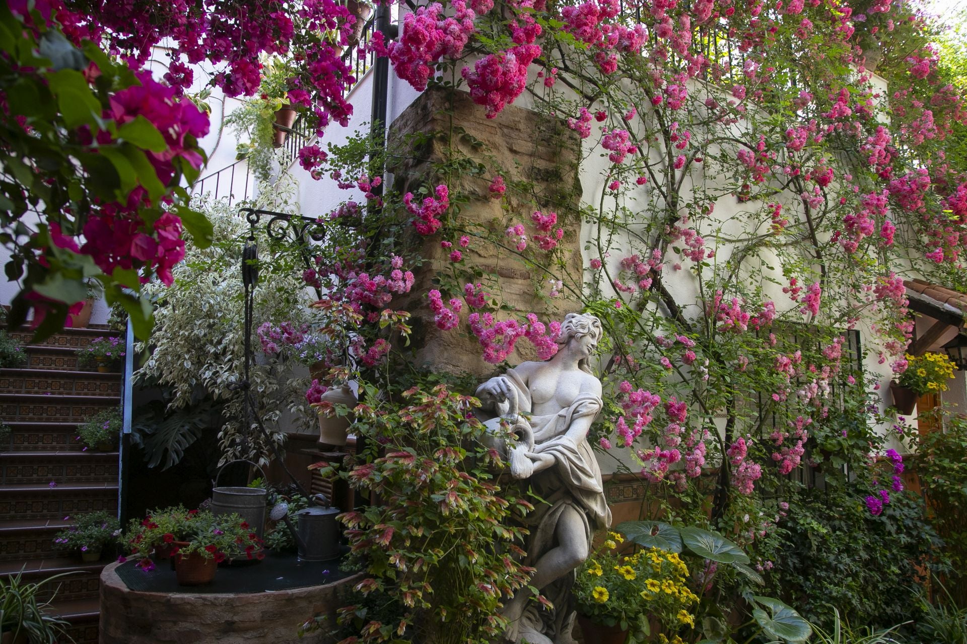 Los detalles más personales de los Patios de Córdoba, en imágenes