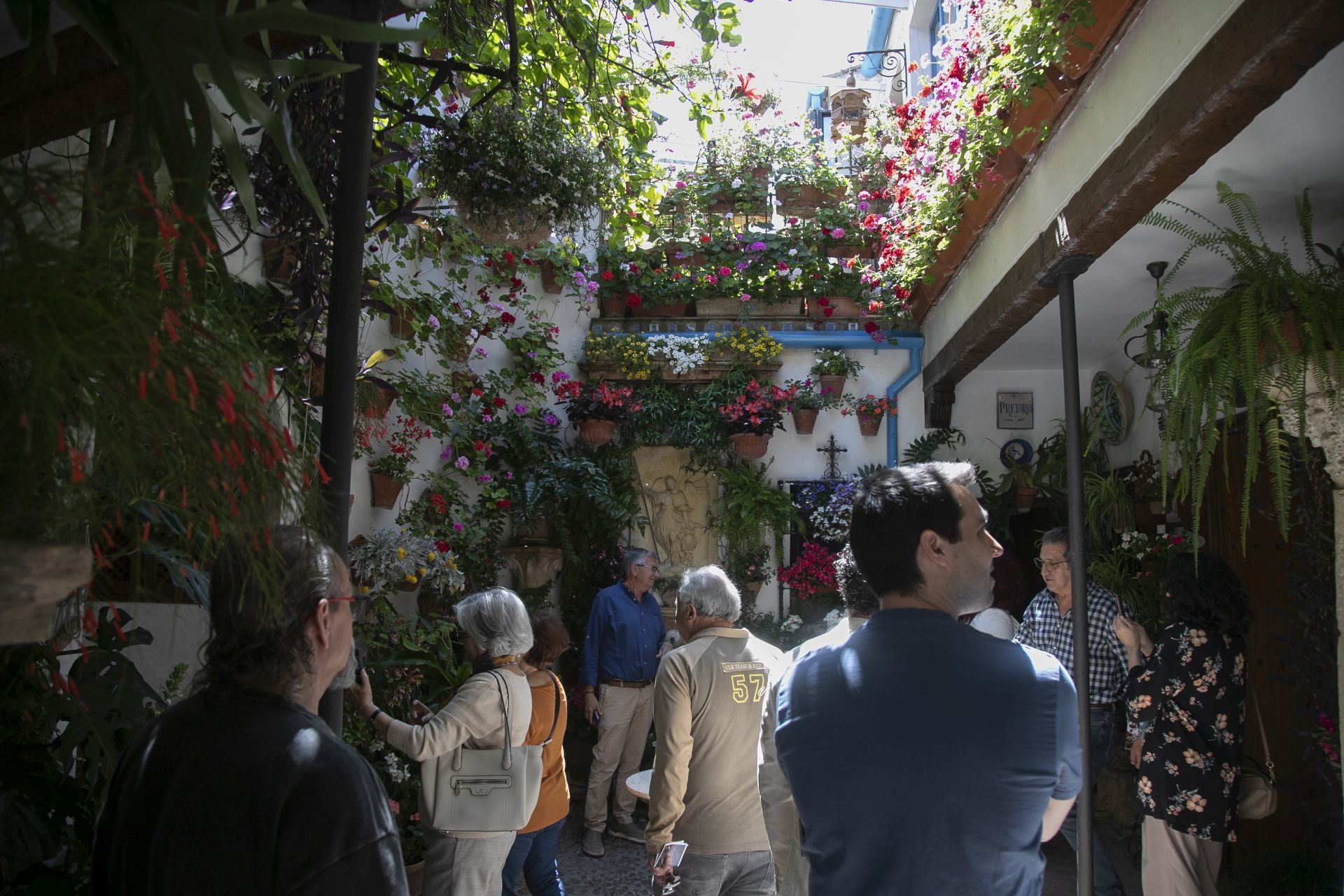 Los detalles más personales de los Patios de Córdoba, en imágenes