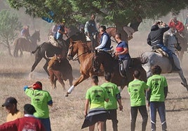 Ayuntamiento de Tordesillas y Junta de Castilla y León recurrirán el fallo que tumba las nuevas normas del Toro de la Vega