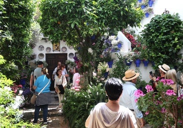 Tinte, 9 y Pastora, 2 repiten como ganadores del concurso de los Patios de 2025