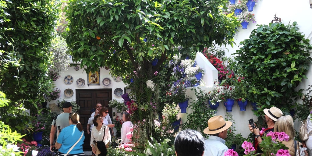 Tinte,9 y Pastora,2 repiten como ganadores del concurso de los Patios de Córdoba 2025