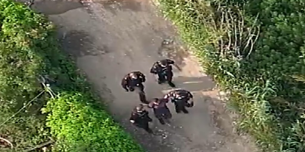 Detenidos en Móstoles tras una persecución policial los dos autores de un robo en un taller de Toledo