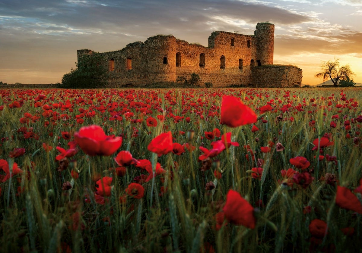 Castillo de Peñaflor en Cuerva