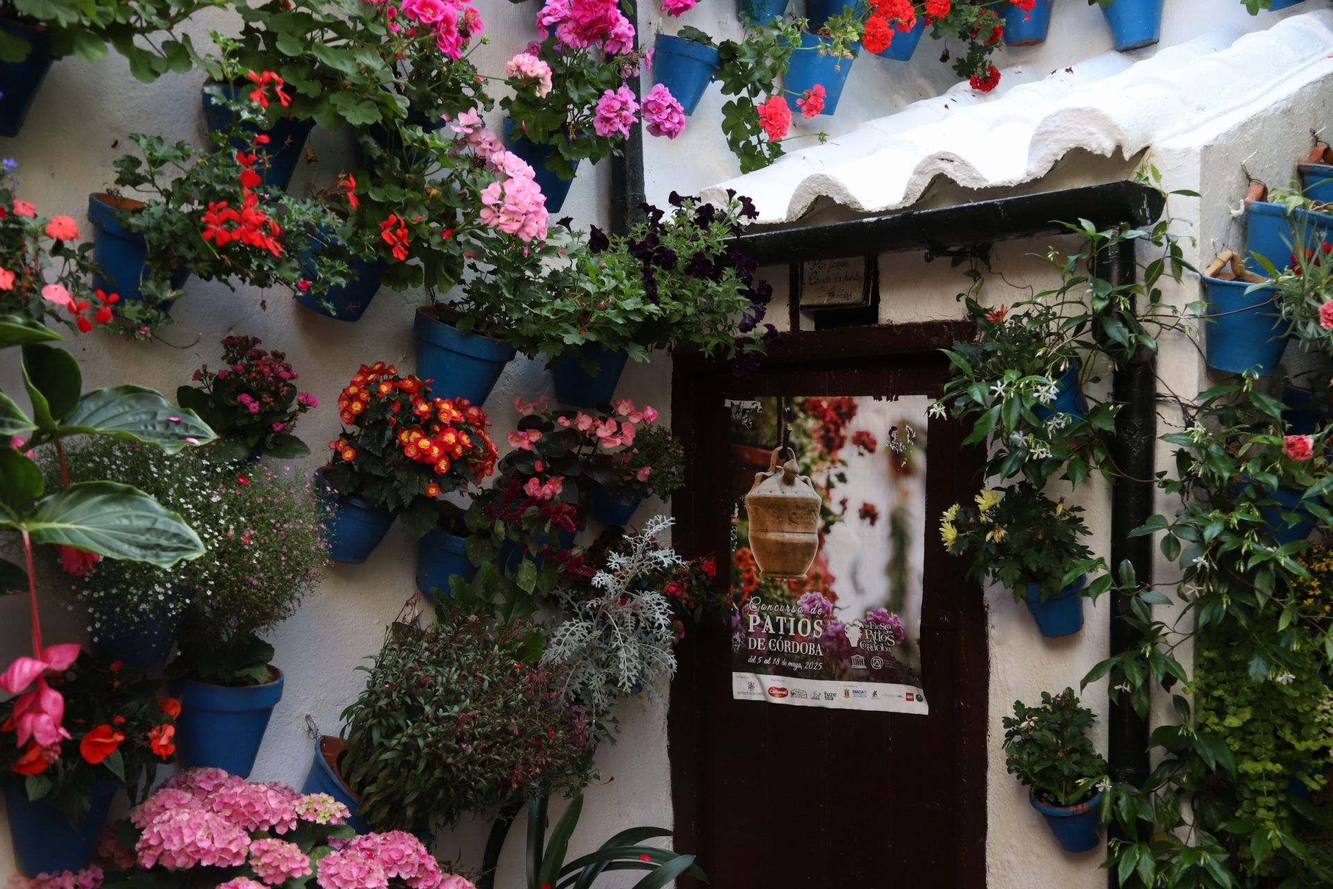 Los Patios de Córdoba ganadores del concurso de 2025, en imágenes