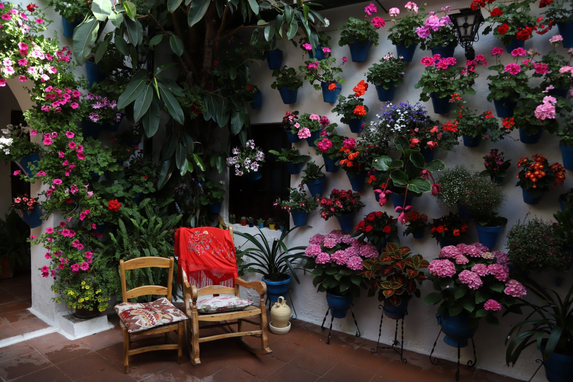 Los Patios de Córdoba ganadores del concurso de 2025, en imágenes