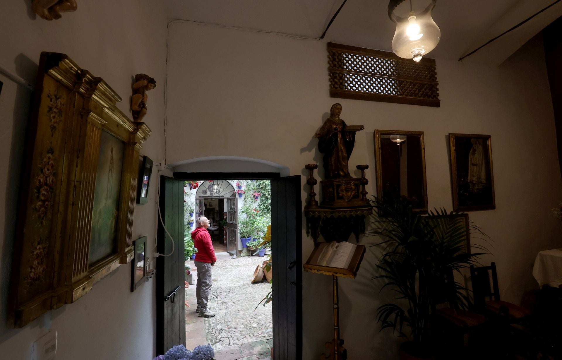 Los Patios de Córdoba ganadores del concurso de 2025, en imágenes