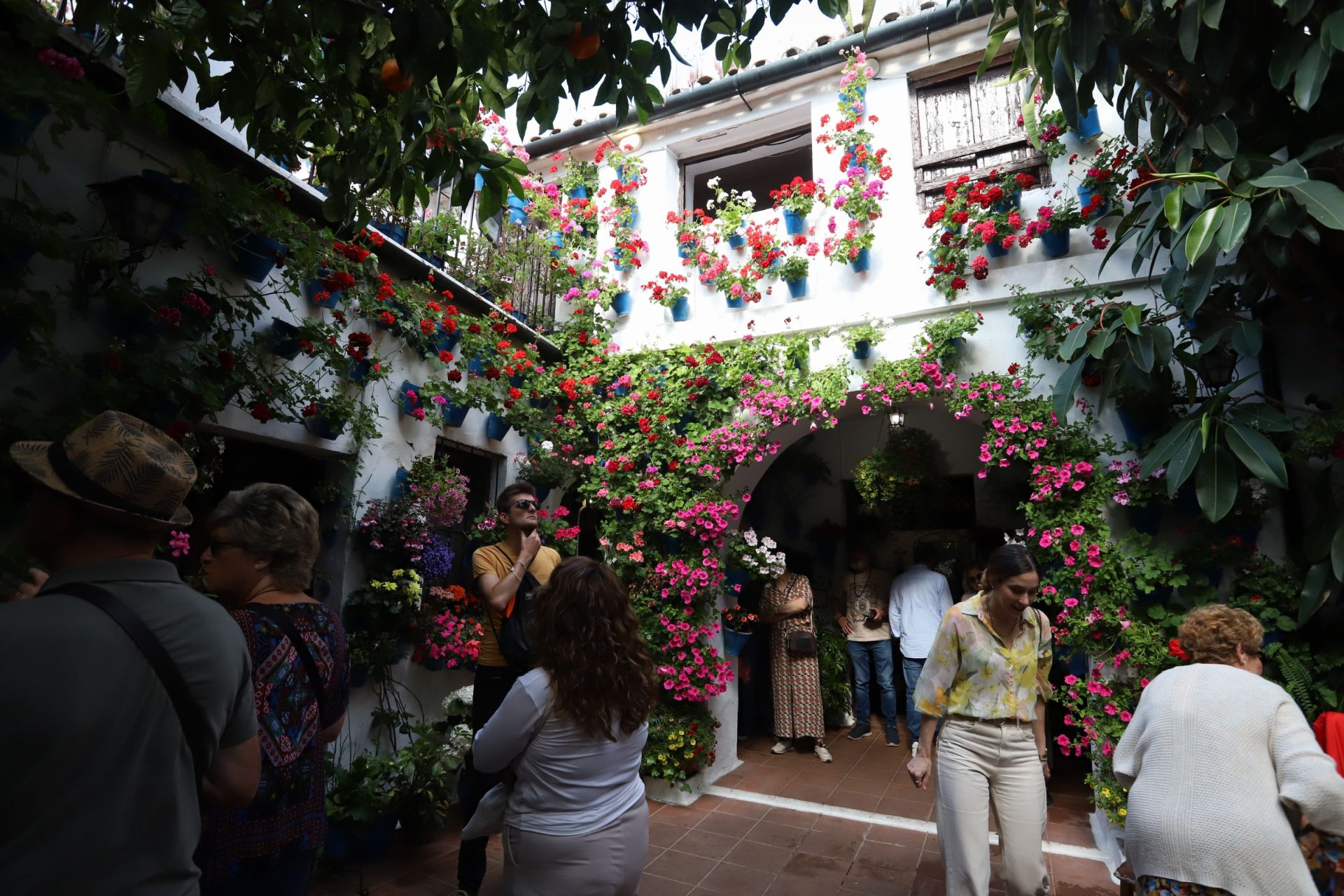 Los Patios de Córdoba ganadores del concurso de 2025, en imágenes