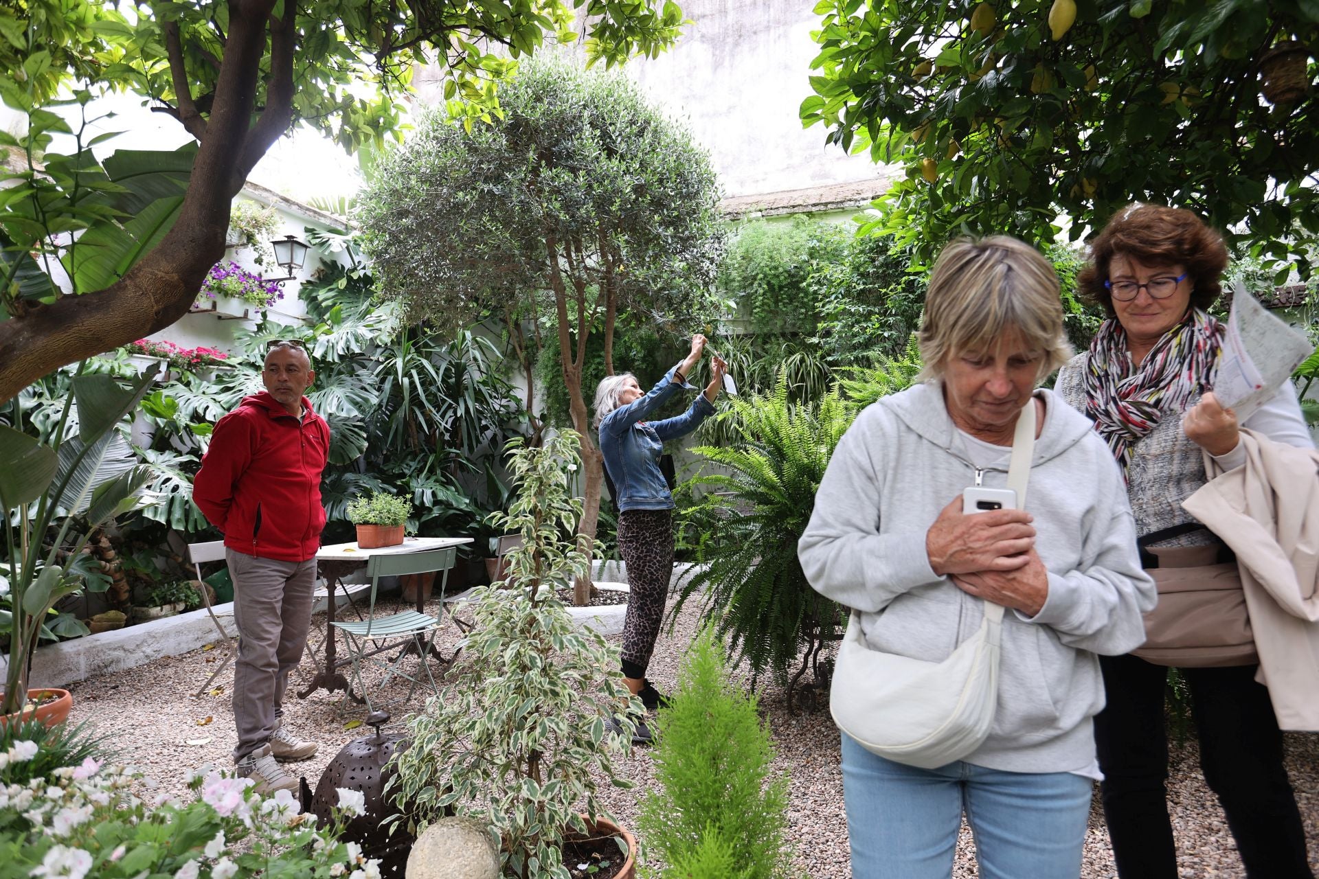 Los Patios de Córdoba ganadores del concurso de 2025, en imágenes