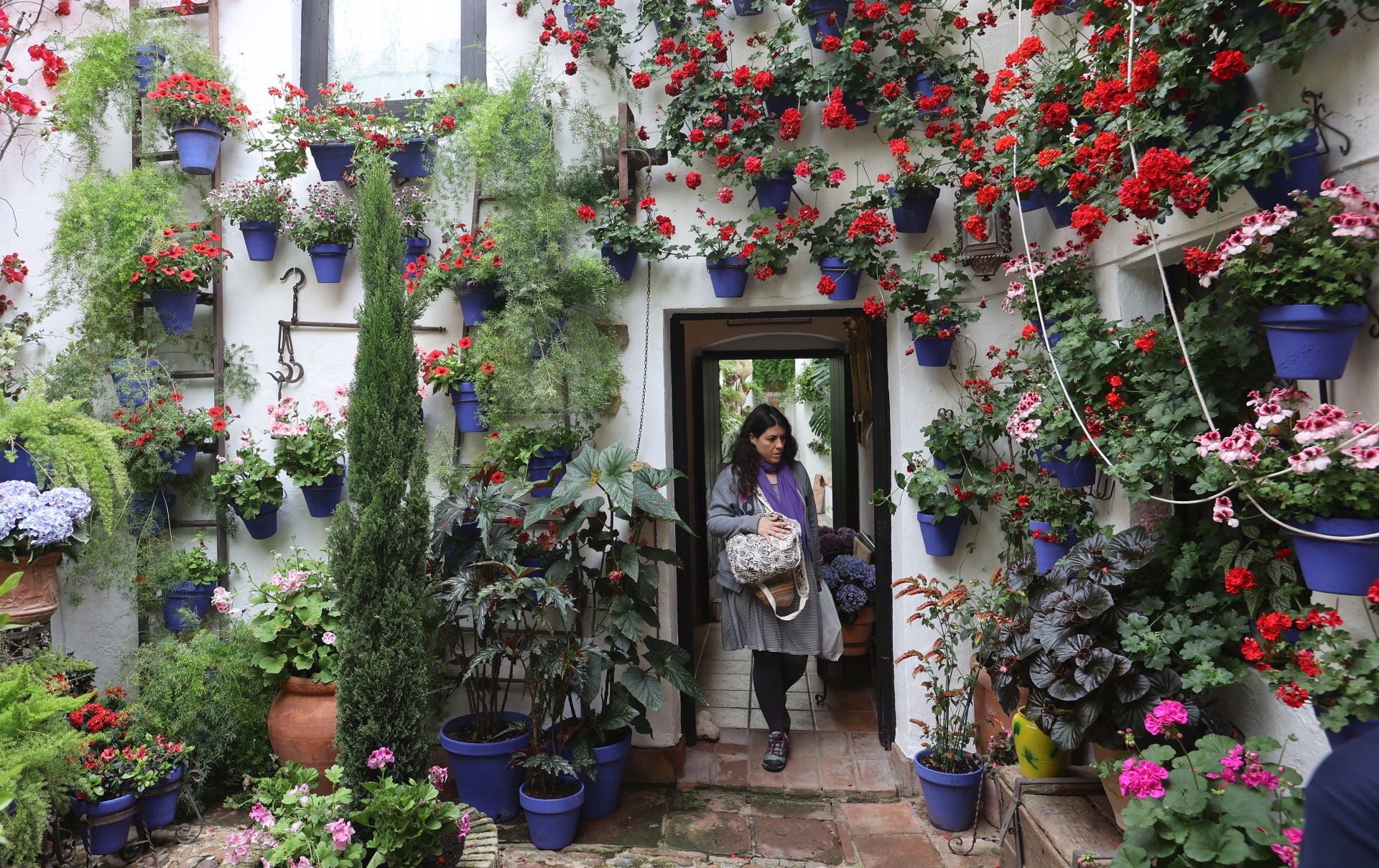 Los Patios de Córdoba ganadores del concurso de 2025, en imágenes