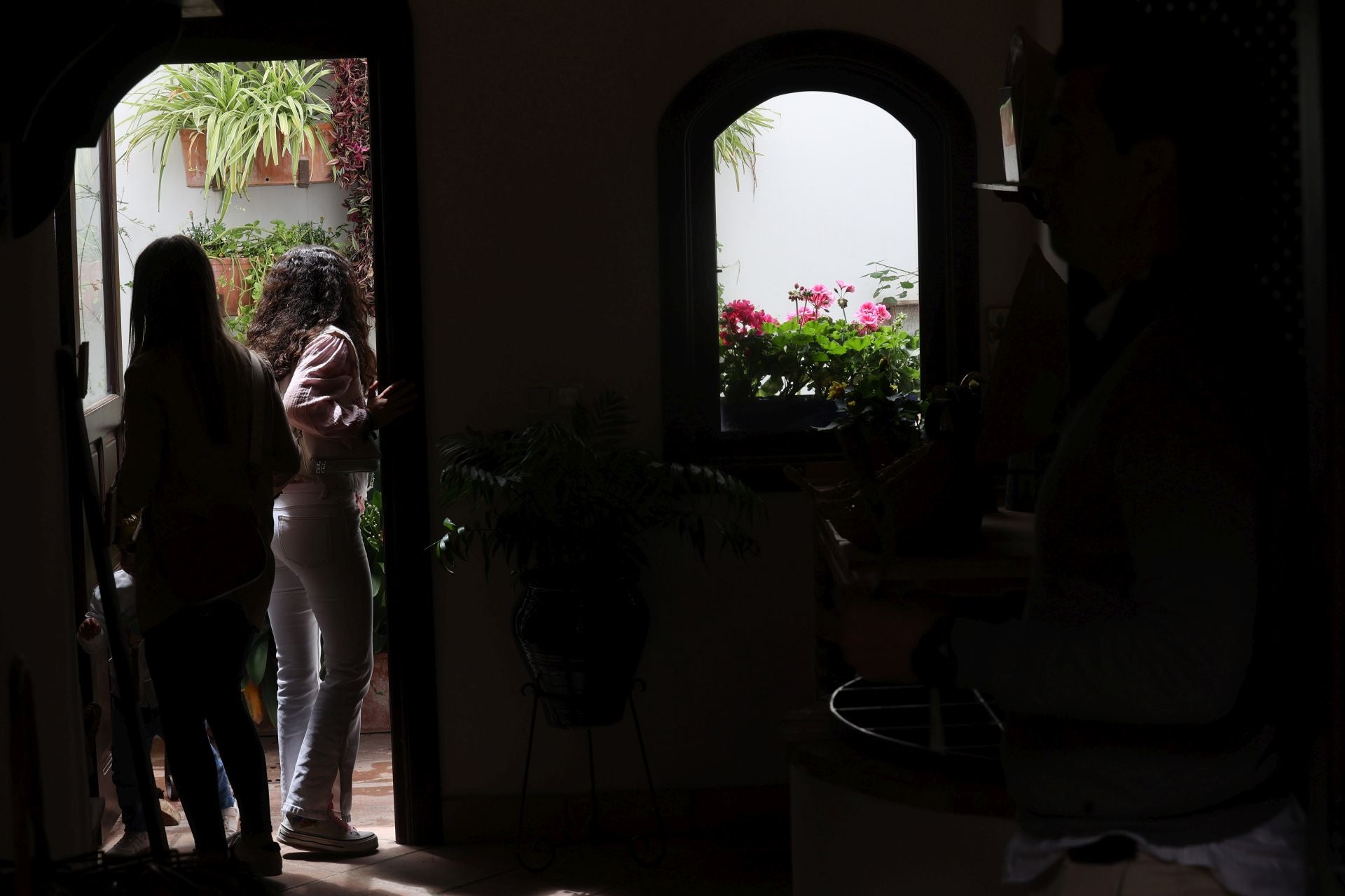 Los Patios de Córdoba ganadores del concurso de 2025, en imágenes