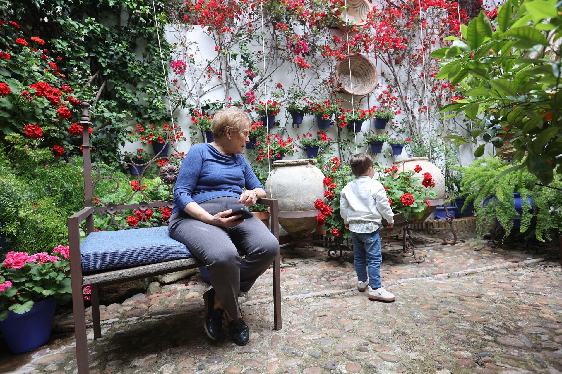 Los Patios de Córdoba ganadores del concurso de 2025, en imágenes