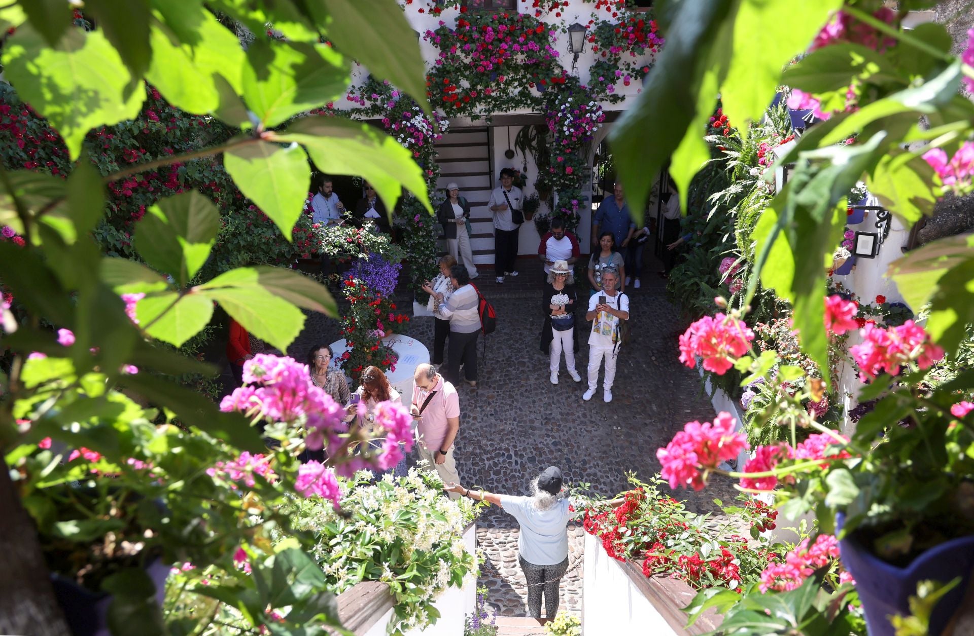 Los Patios de Córdoba ganadores del concurso de 2025, en imágenes