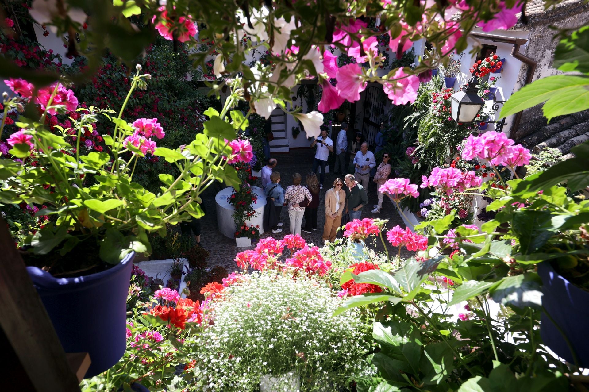 Los Patios de Córdoba ganadores del concurso de 2025, en imágenes