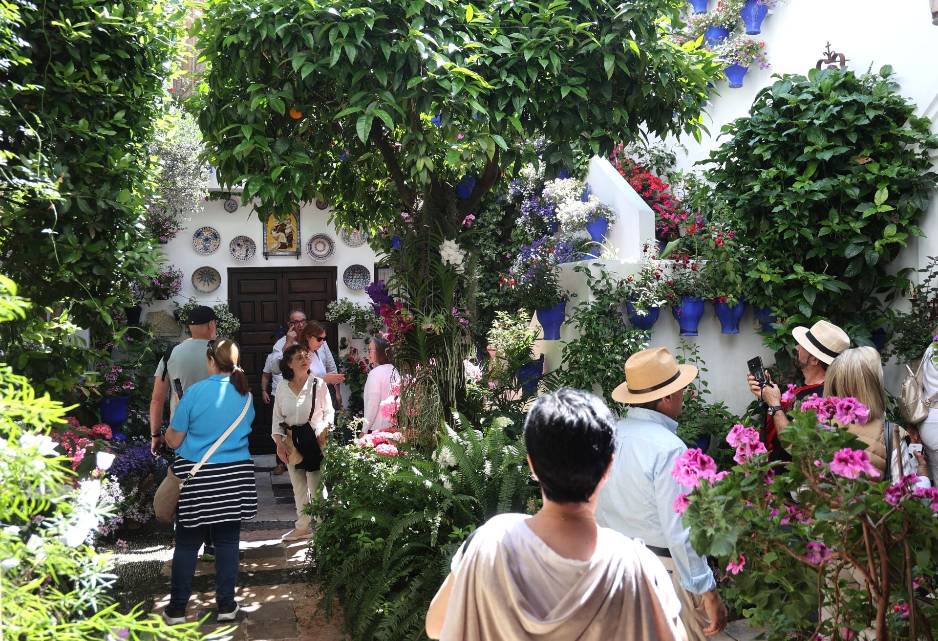 Los Patios de Córdoba ganadores del concurso de 2025, en imágenes