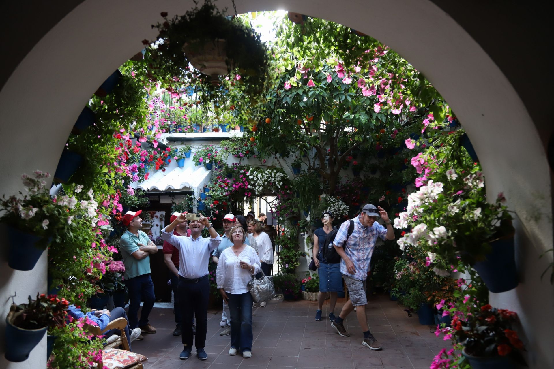 Los Patios de Córdoba ganadores del concurso de 2025, en imágenes