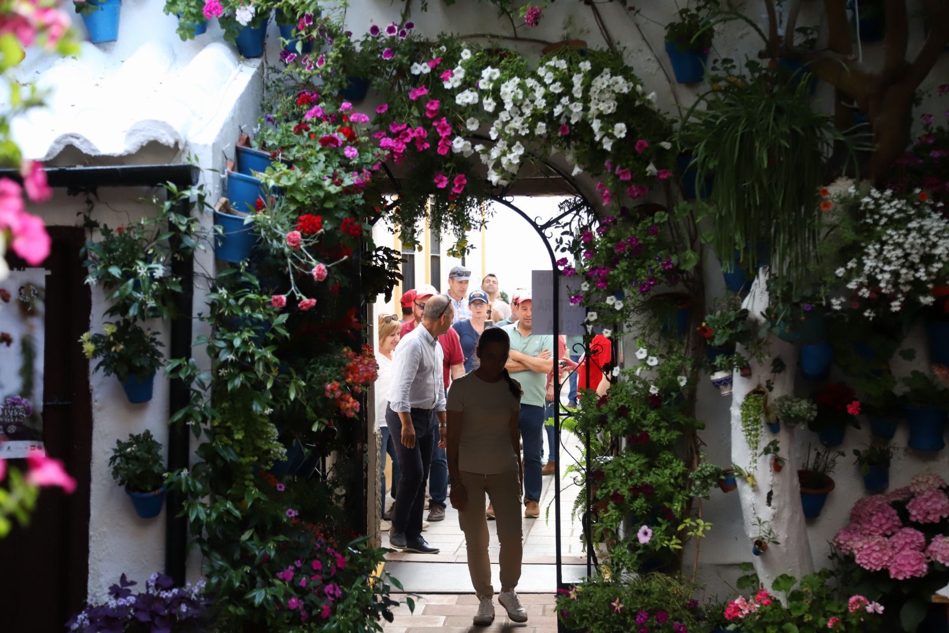 Los Patios de Córdoba ganadores del concurso de 2025, en imágenes