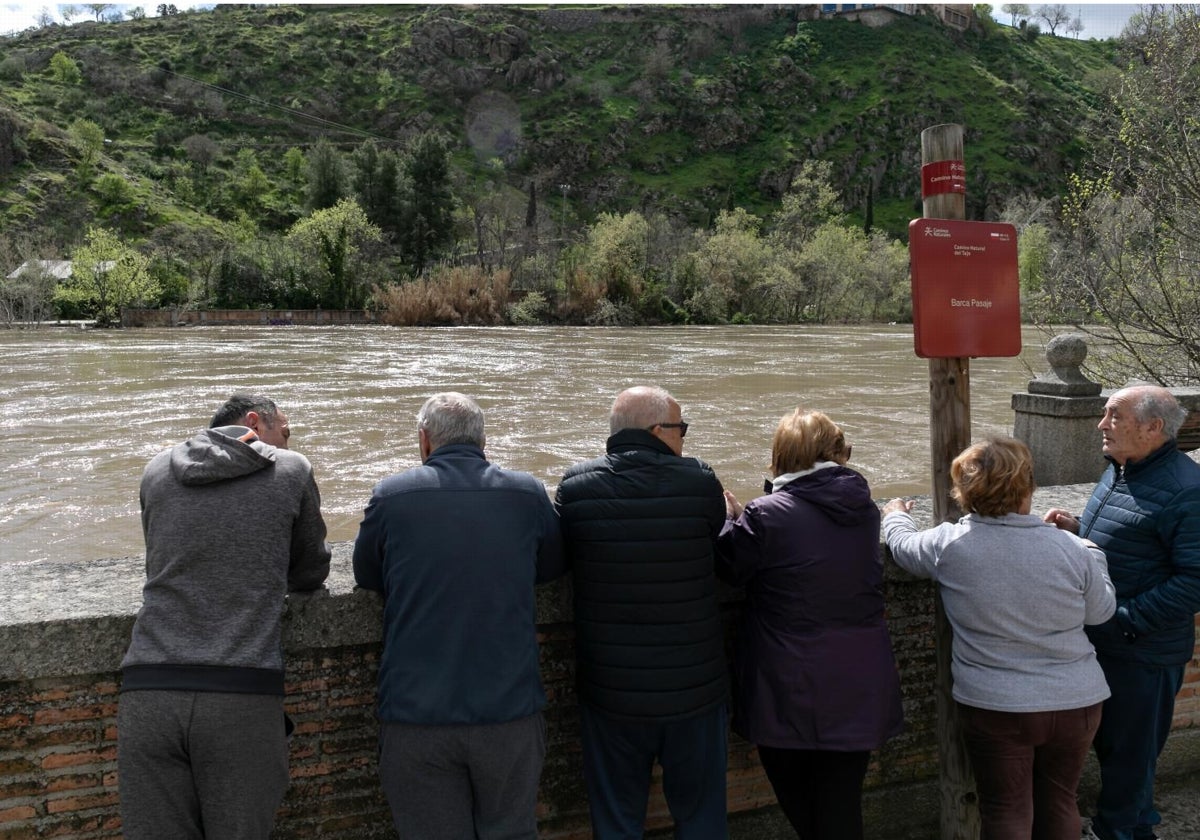 El río Tajo, en una imagen de marzo a su paso por la Barca Pasaje, en Toledo capital