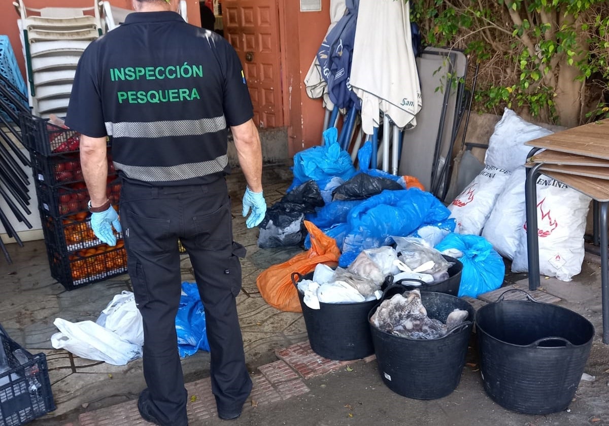 Imagen del registro de pulpo