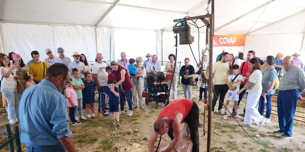 Cientos de personas disfrutan de la Fiesta del Pastoreo de Villaralto