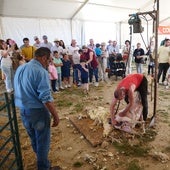 Un pastor esquila a una oveja en Villaralto