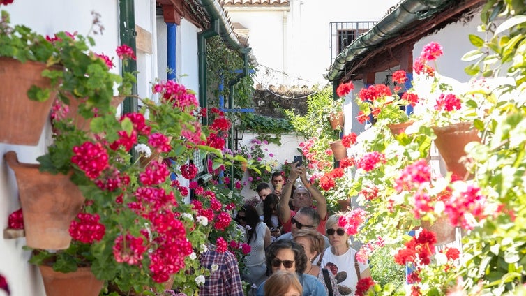 Ambientazo en el último sábado de Patios de Córdoba: «Notas que vive gente, no es algo que hagan para los turistas»