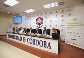 La Universidad de Córdoba tendrá un nuevo Grado de Trabajo Social y tres másteres más el próximo curso
