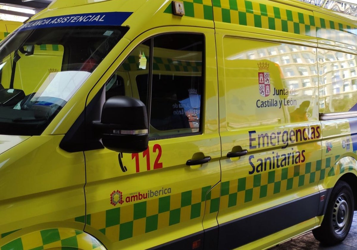 Una mujer de 62 años muere tras ser embestida por unas reses en Ceguilla (Segovia)