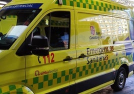 Una mujer de 62 años muere tras ser embestida por unas reses en Ceguilla (Segovia)
