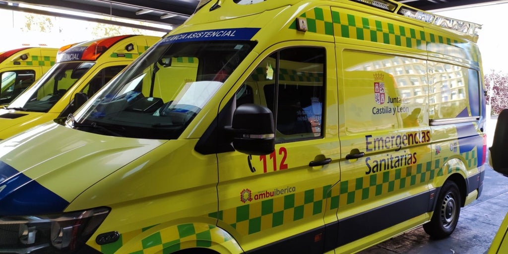 Una mujer de 62 años muere tras ser embestida por unas reses en Ceguilla (Segovia)