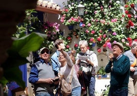 Las asociaciones de patios de Córdoba, satisfechos con una edición 2025 de plenitud
