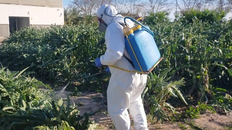 Un curso de uso de fitosanitarios impartido por Asaja Alicante