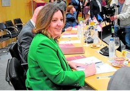 Toledo será sede del Pleno del Consejo Interterritorial para los aranceles