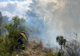Logran acotar  el incendio forestal declarado en Gran Canaria