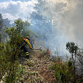 Logran acotar el incendio forestal declarado en Gran Canaria
