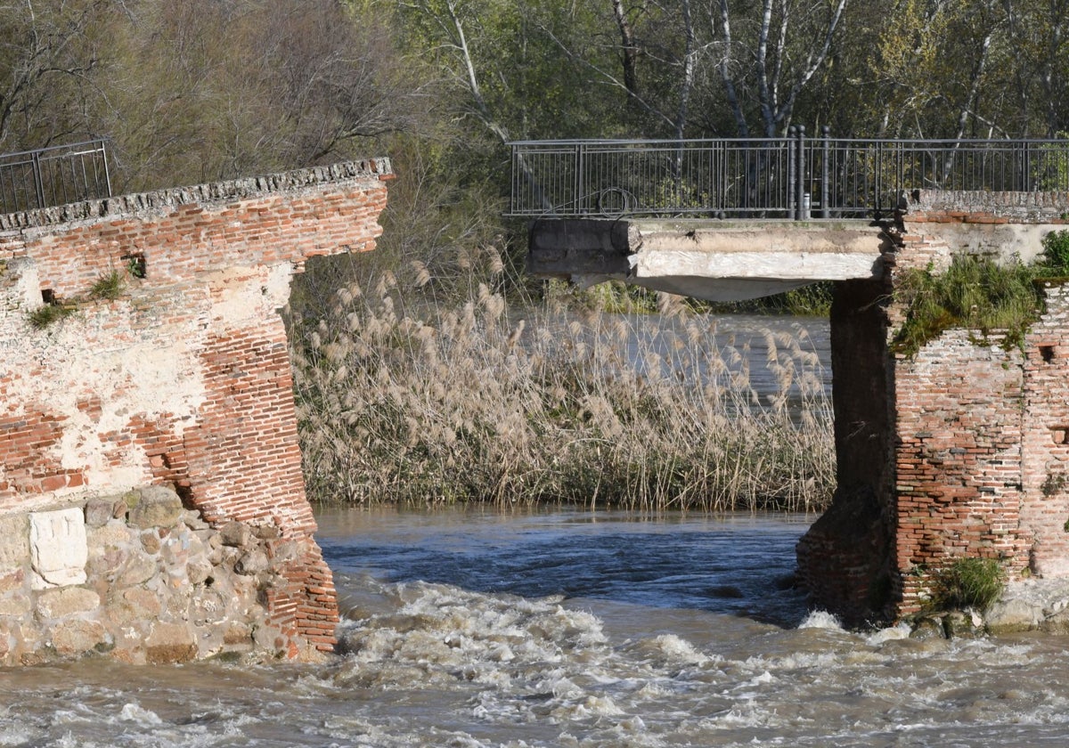 El puente destruido tras la crecida del río Tajo