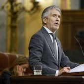 El ministro del Interior, Fernando Grande Marlaska, en la tribuna del Congreso