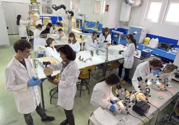 Cuidar del pasado también es profesión con futuro