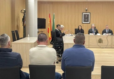 Condena de 3 años de cárcel para dos empleados de una almazara de Priego de Córdoba y el dueño de otra por robar 220.000 kilos de aceite