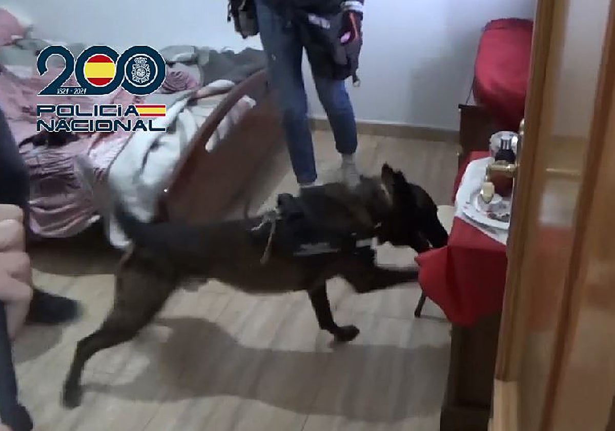 La Policía ha practicado varios registros en la operación